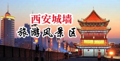 狂插黑丝美女小穴中国陕西-西安城墙旅游风景区