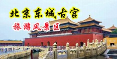 插深了,好大好爽插的真爽黄片中国北京-东城古宫旅游风景区